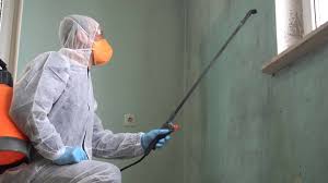 Best Emergency Mold Remediation  in Stillwater, MN